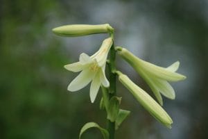 Top 10 Reasons Why You Should Visit Bhutan