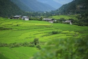 Green Bhutan Tour