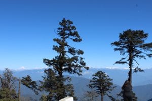 Top Family Attractions (Top Activities for Kids and Parents)