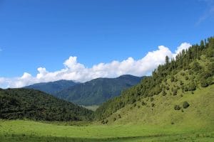 Bumthang Owl Trek